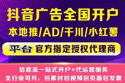 行业专家解析SEM代运营成功案例